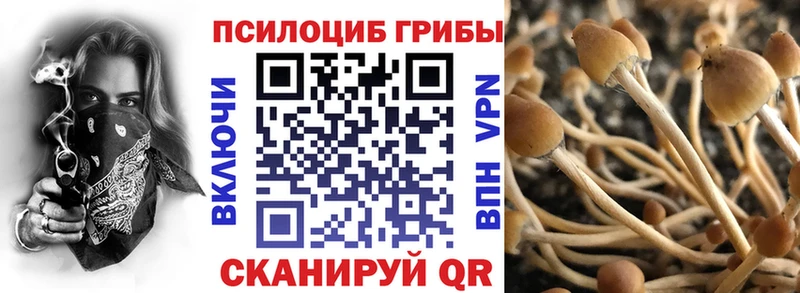 Галлюциногенные грибы GOLDEN TEACHER  Чудово 